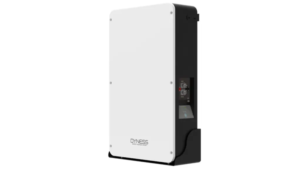 10.24 kWh Battery Pack — 2 × Dyness DL5.0C